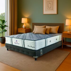 Dual Confort - Colchón + Base Cama + Espaldar